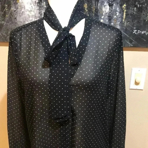 Banana Republic Long Sleeve Polka Dot Sheer Button Front Blouse Neck Tie-Size S - Picture 6 of 7